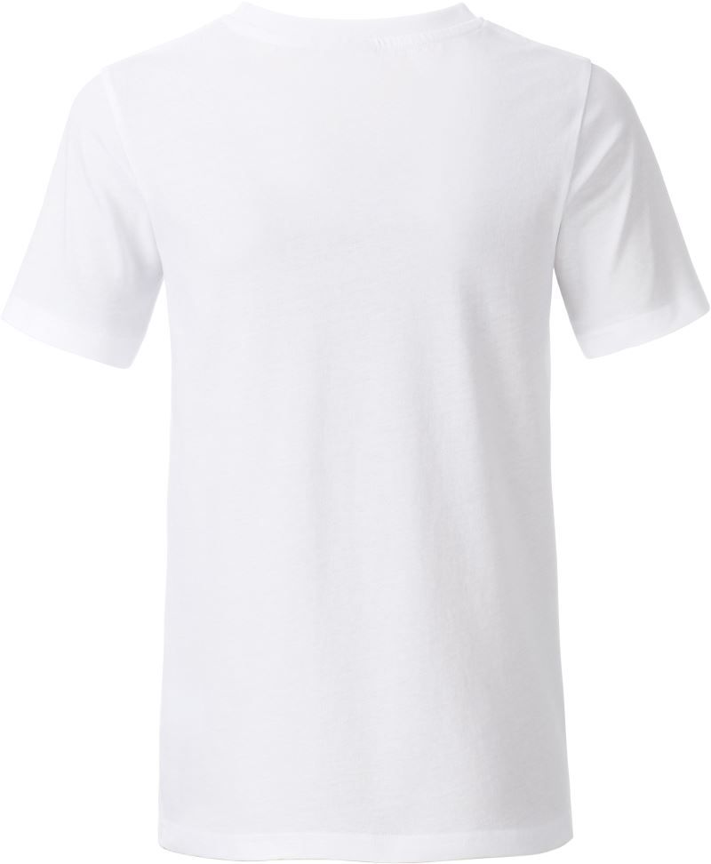 {"iN":"135c2ee2-c648-4f1c-877b-8728c3ac47c9","fH":"95C0D24A5739AE0178C8394EE0DE5485","cC":"001","iP":2,"iT":3,"iU":[6]}